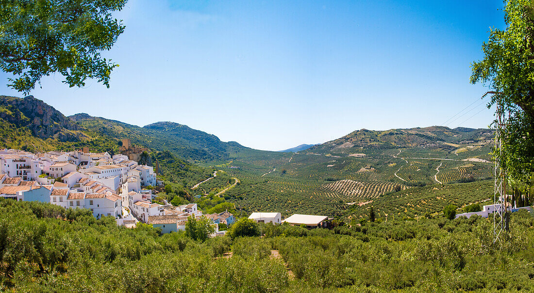 Weißes Dorf am Hang, mit Burg und Höhlen, im Olivengürtel, Zuheros, Provinz Cordoba, Andalusien, Spanien