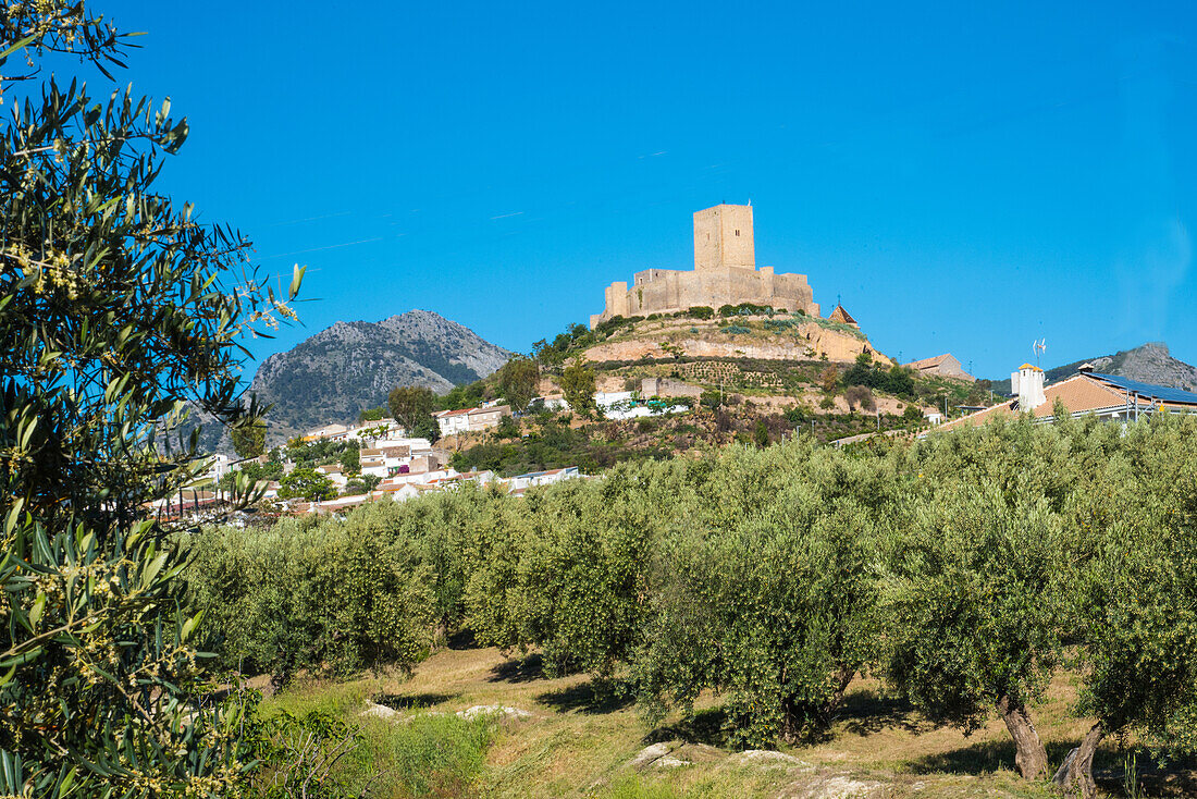 Castillo de Locubin, im Olivengürtel, Locubin, Provinz Jaen, Andalusien, Spanien