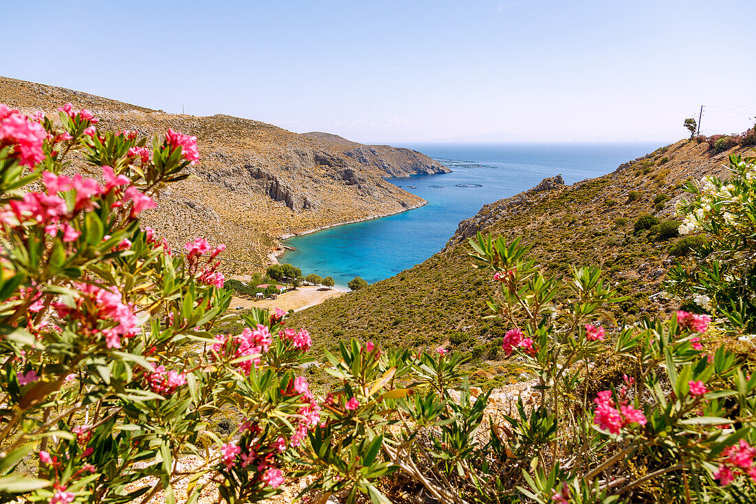 Bucht von Akti (Akti-Bucht, Ormos Akti) mit Strand und Taverne auf der Insel Kalymnos (Kalimnos) in Griechenland