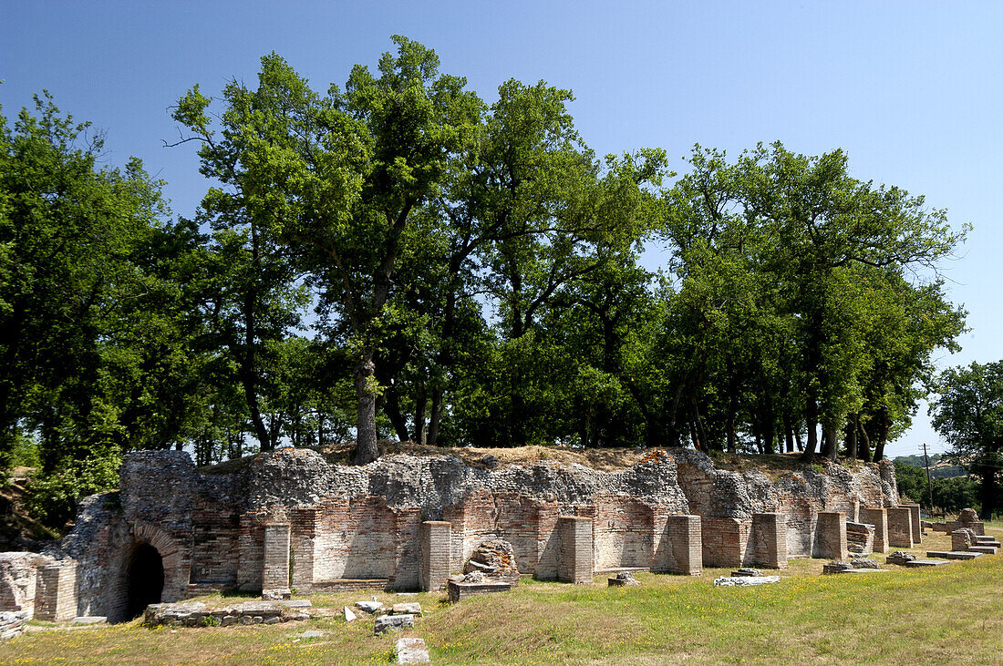  anfiteatro Urbs Salvia 