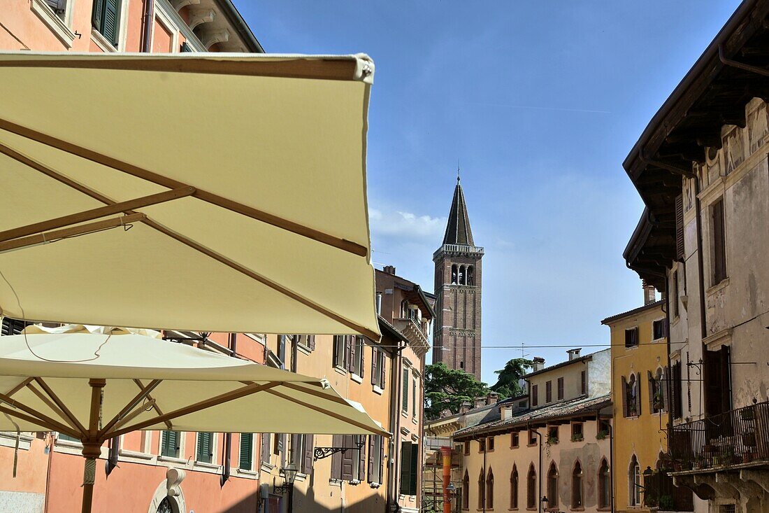  at Sant Anastasia in the streets of Verona, Veneto, Northern Italy 