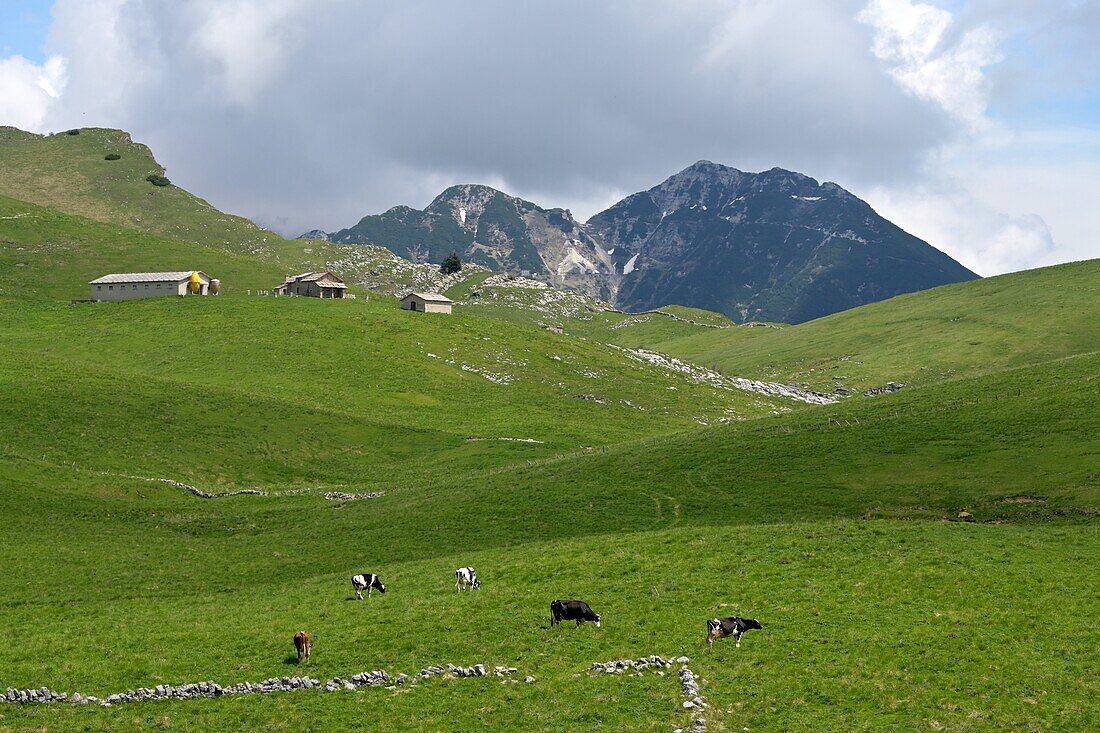  Parco Naturale near San Giorgio north of Verona, Lessinian Mountains, Veneto, Italy 