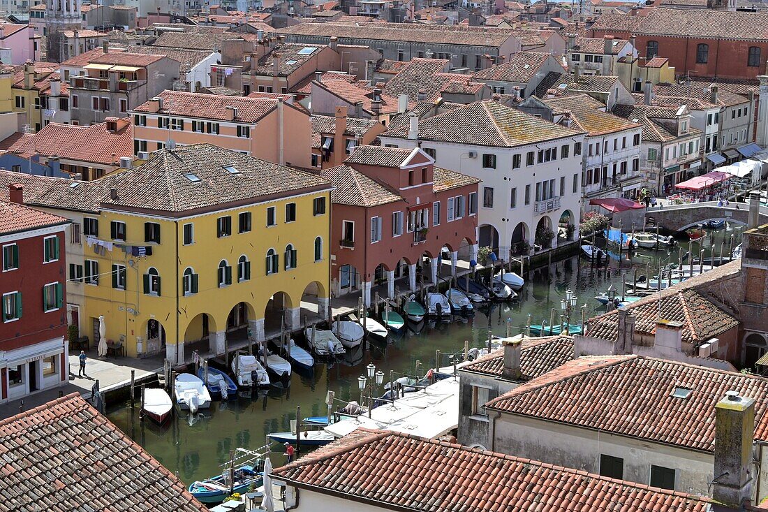  in Chioggia, Venice Lagoon, Veneto, Northern Italy 