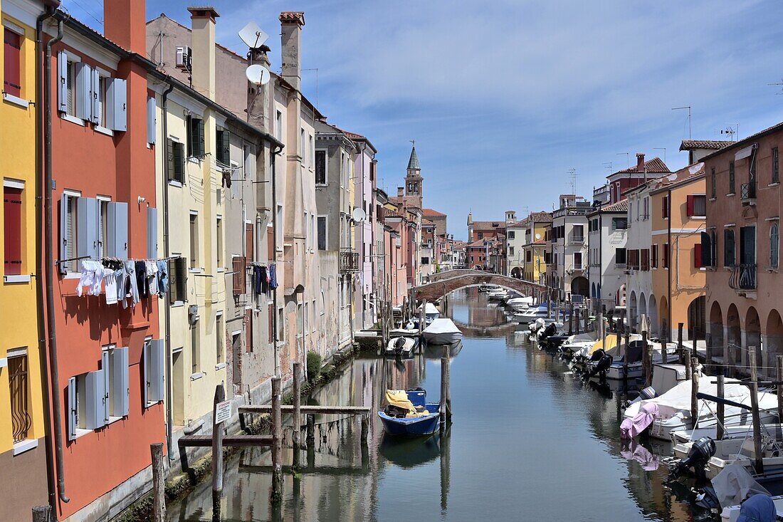  in Chioggia, Venice Lagoon, Veneto, Northern Italy 