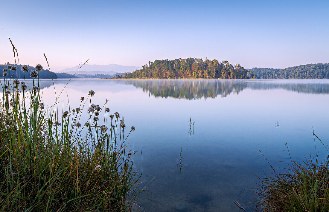  Sunny early autumn morning at the large Ostersee, Bavaria, Germany, Europe 