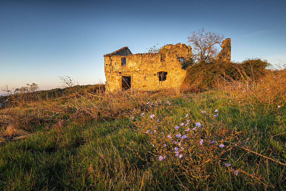  Ruins of a farm near Radicofani at sunrise, Siena province, Tuscany, Italy 