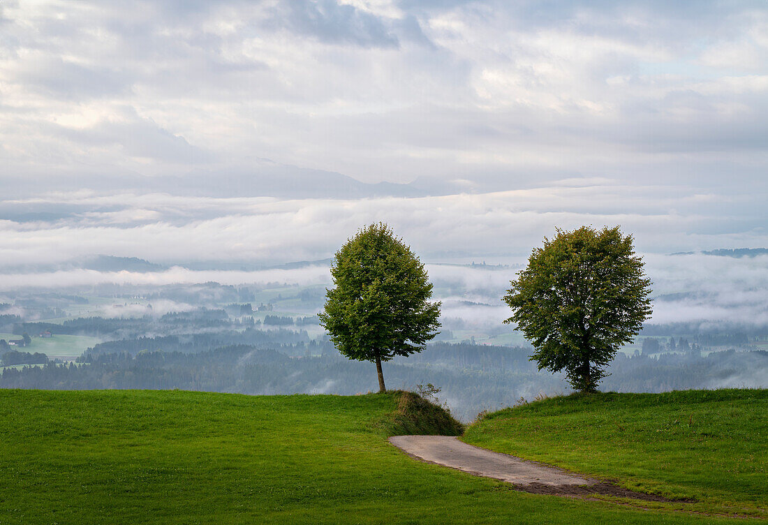 Blick vom Auerberg über das nebelverhangene Allgäu, Bayern, Deutschland