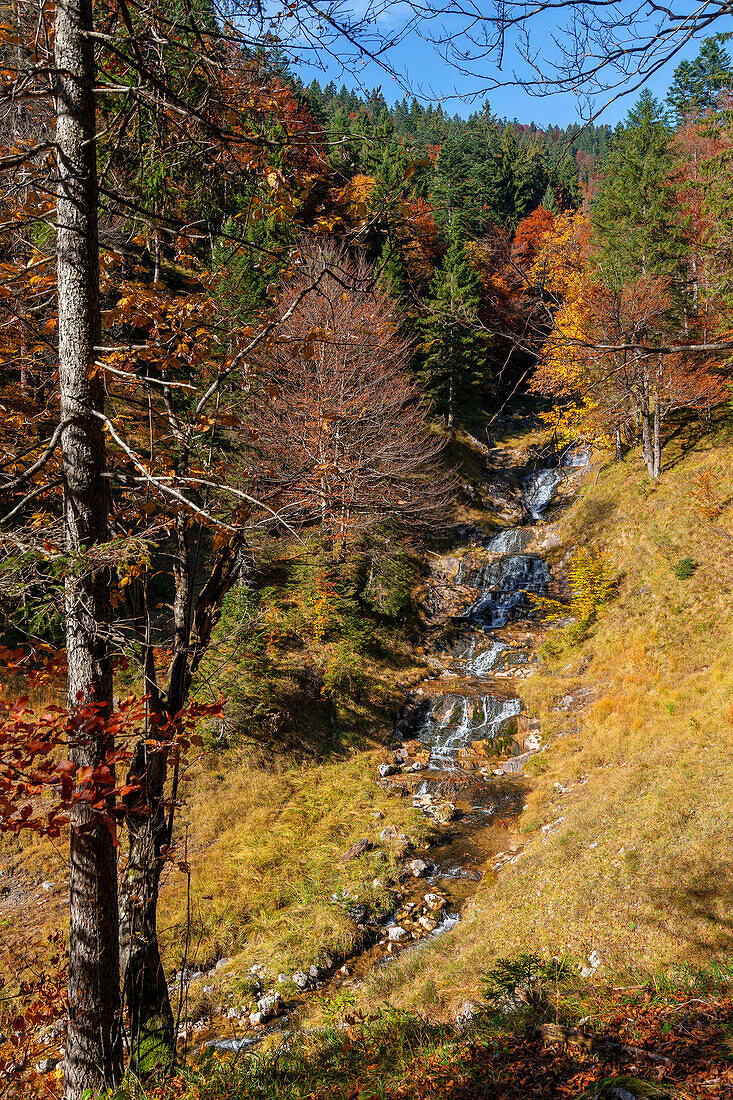  Small waterfall above Jachenau, Bavaria, Germany, Europe 