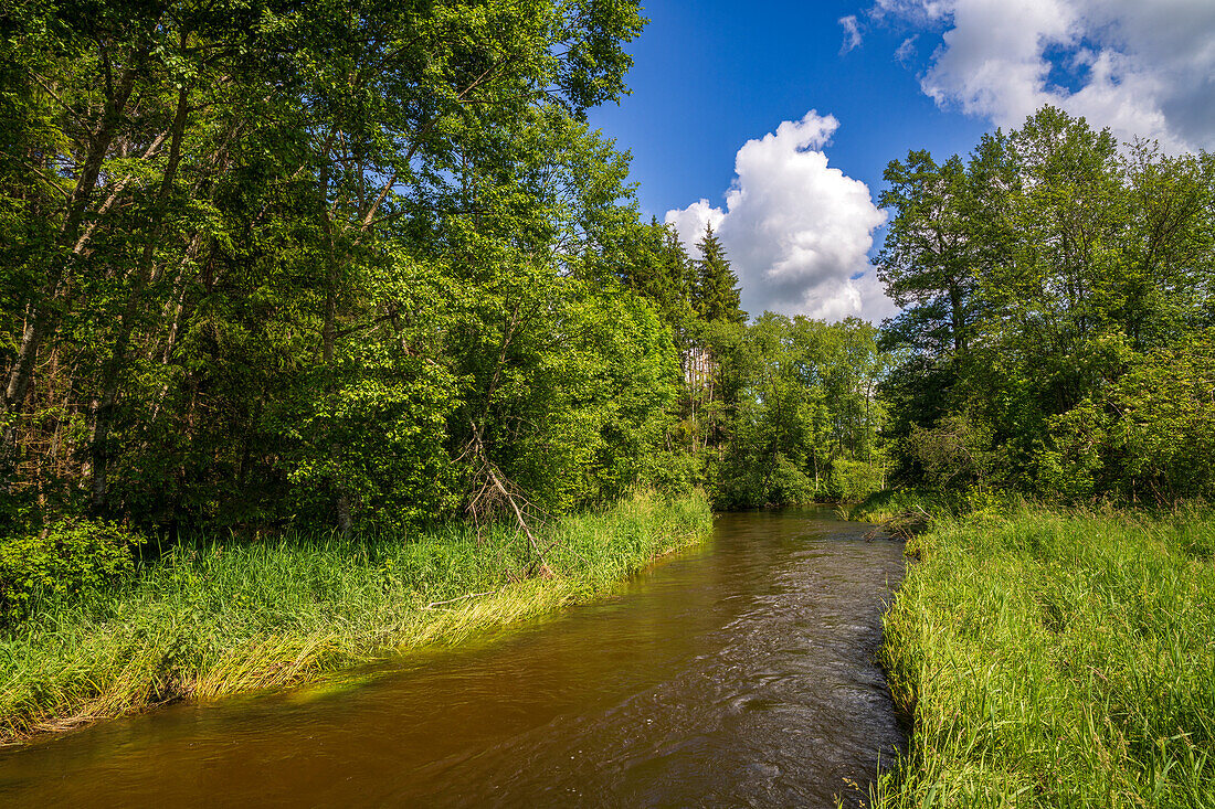  In summer on the river Ach near Huglfing, Bavaria, Germany 