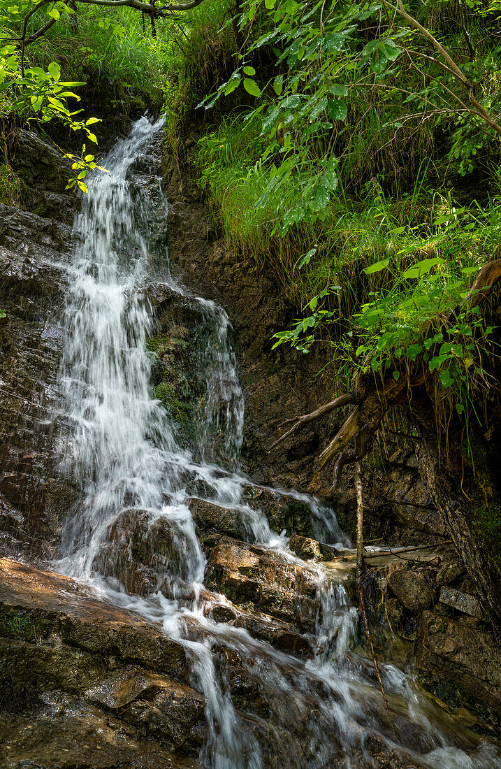  Small stream next to the hiking trail from Krün to Mittenwald, Bavaria, Germany 