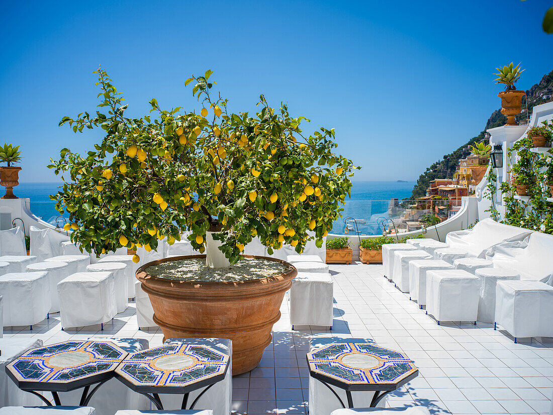 Zitronenbaum und Cafe, Positano, Amalfiküste, Salerno, Kampanien, Süditalien, Italien, Europa, Mittelmeer