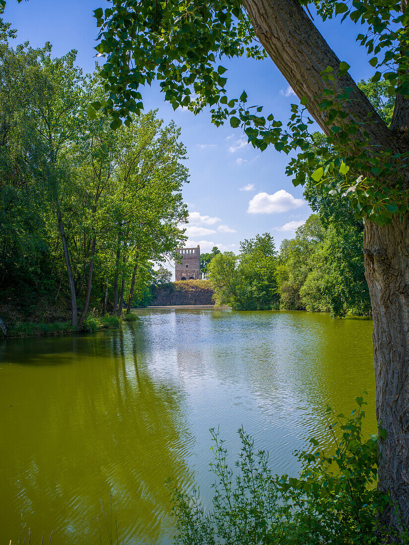 Steinbruch und Kirchenruine Nordhusen, Hundisburg, Haldensleben, Landkreis Börde, Sachsen-Anhalt, Deutschland, Europa