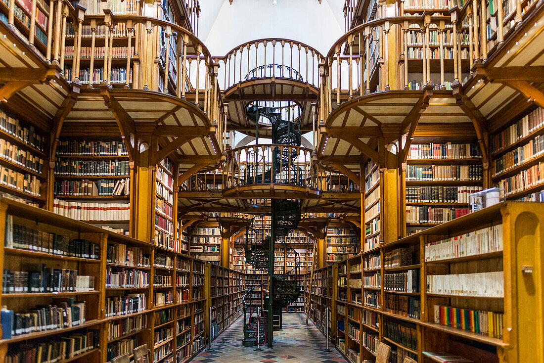 Bibliothek, Benediktinerabtei Maria Laach, Eifel, Rheinland, Rheinland-Pfalz, Deutschland