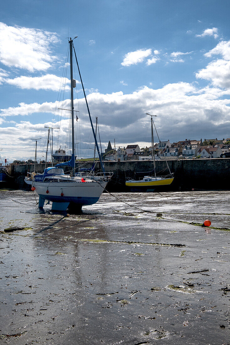  View of St. Monans Harbour at low tide, East Lothian, Scotland, United Kingdom 