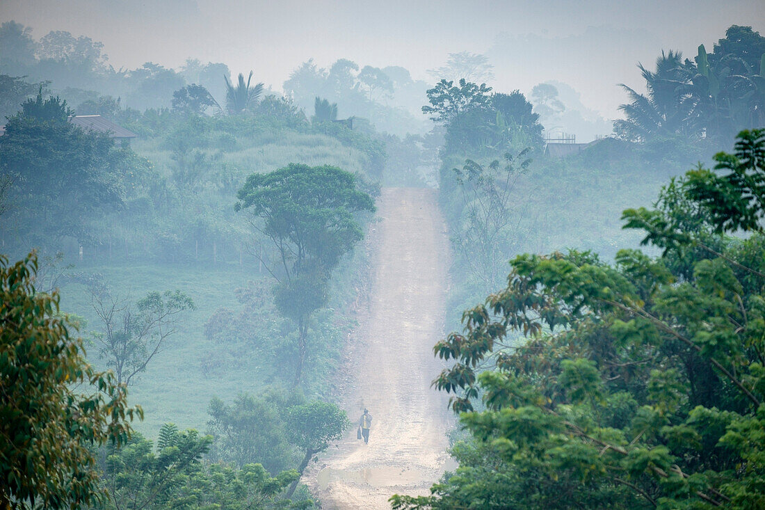  Straße von Taña nach Lancetillo, feuchter Wald, Sierra de los Cuchumatanes, Quiche, Republik Guatemala, Mittelamerika 