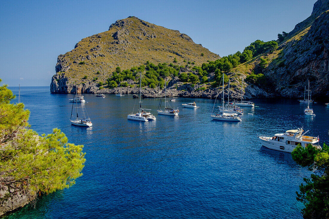 Segelboote in der Bucht Sa Calobra, Escorca, Naturgebiet Serra de Tramuntana, Mallorca, Balearen, Spanien