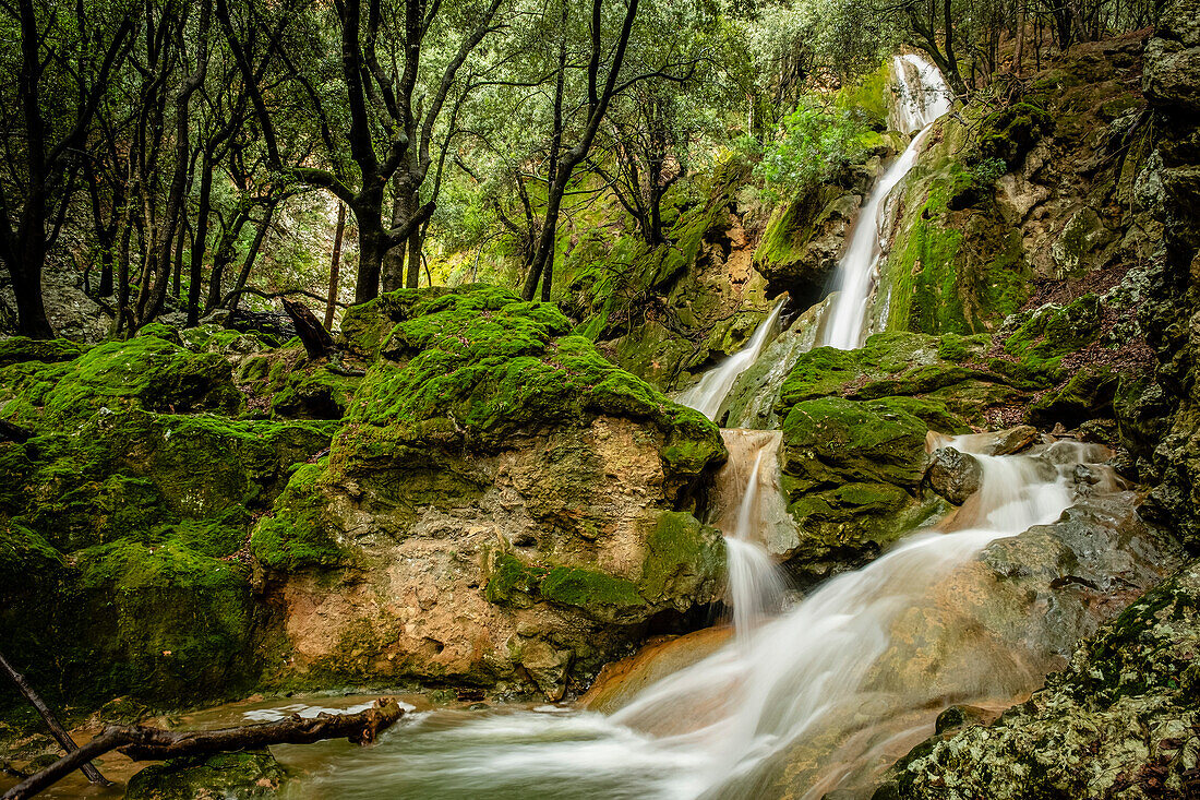  Torrent de Coanegra, Wasserfall Es Freu, Orient, Bunyola, Mallorca, Balearen, Spanien 