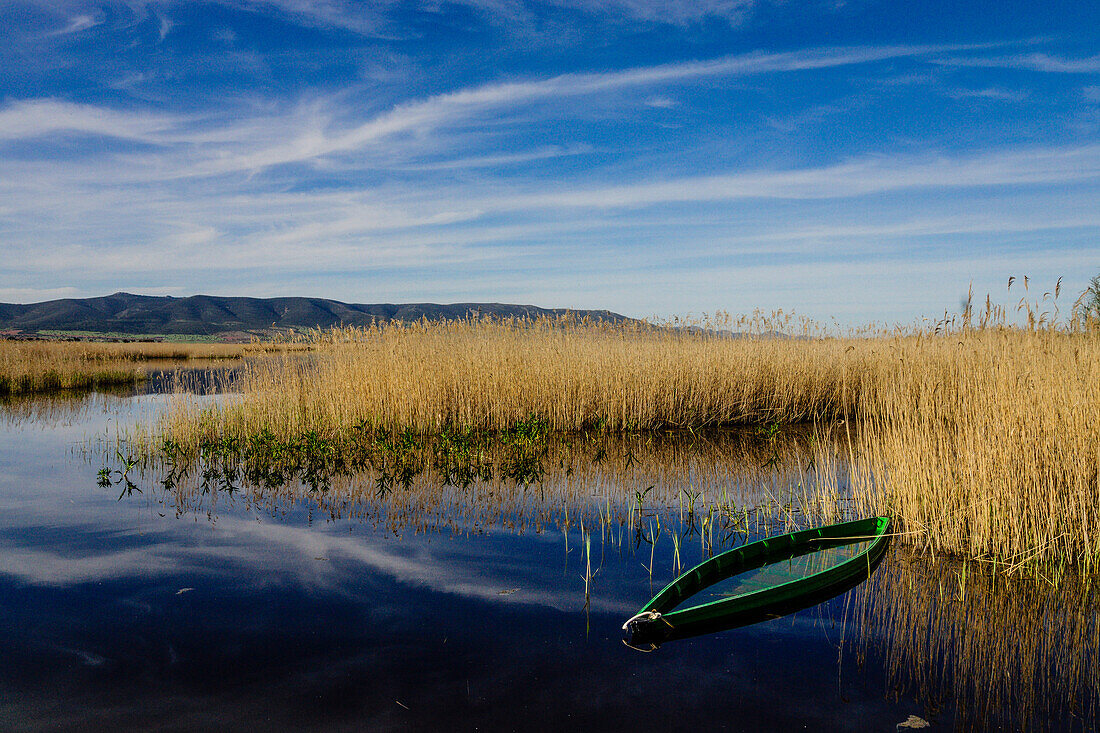  Nationalpark Tablas de Daimiel, Ciudad Real, Kastilien-La Mancha, Spanien, Europa 