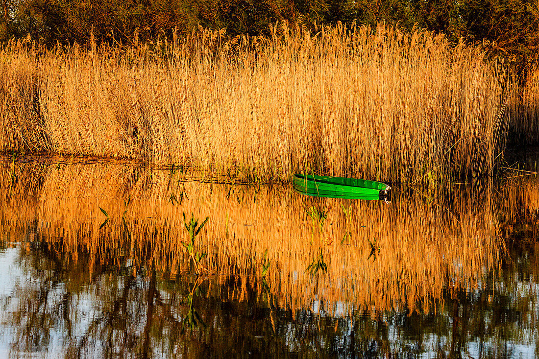 Tablas de Daimiel National Park, Ciudad Real, Castile-La Mancha, Spain, Europe