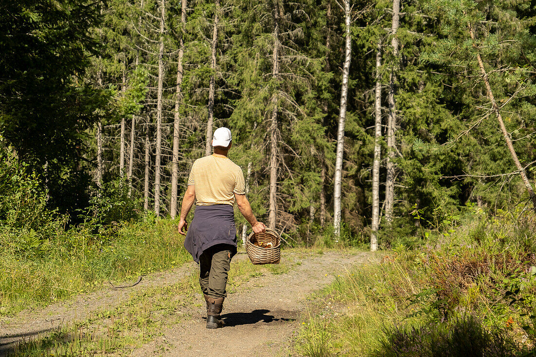 Young caucasian man walking into the woods with a basket to pick edible mushrooms.