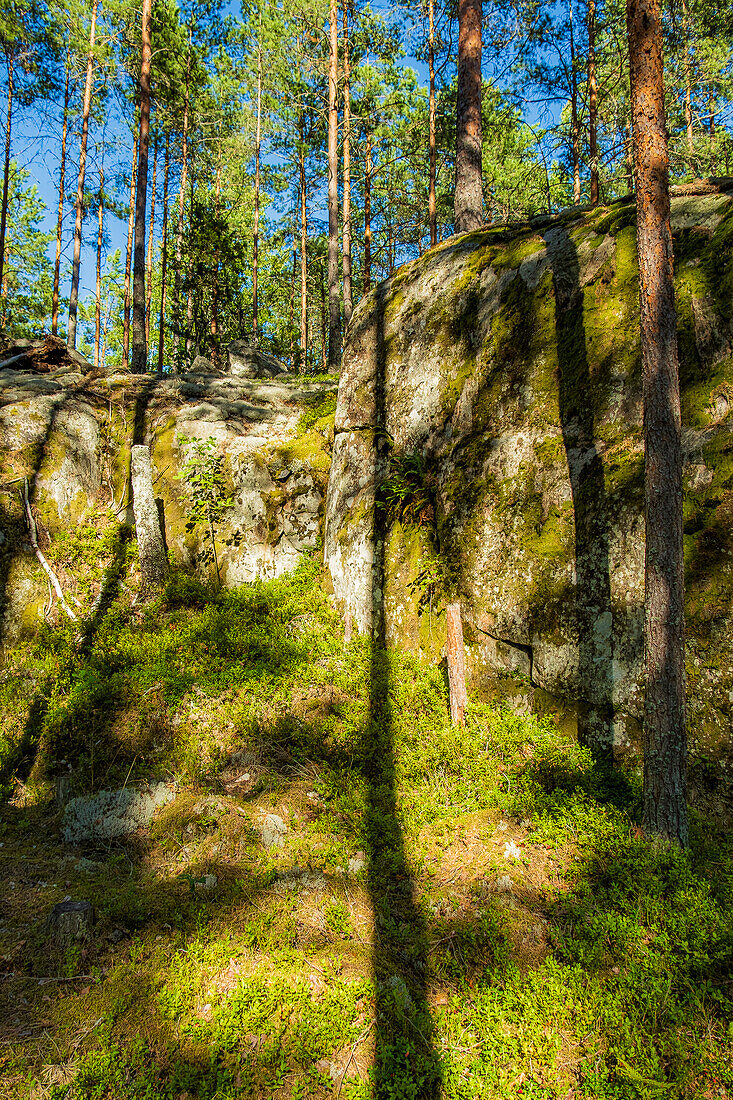 Beautiful landscape of the Listorp nature reserve in Söderköping, Sweden.