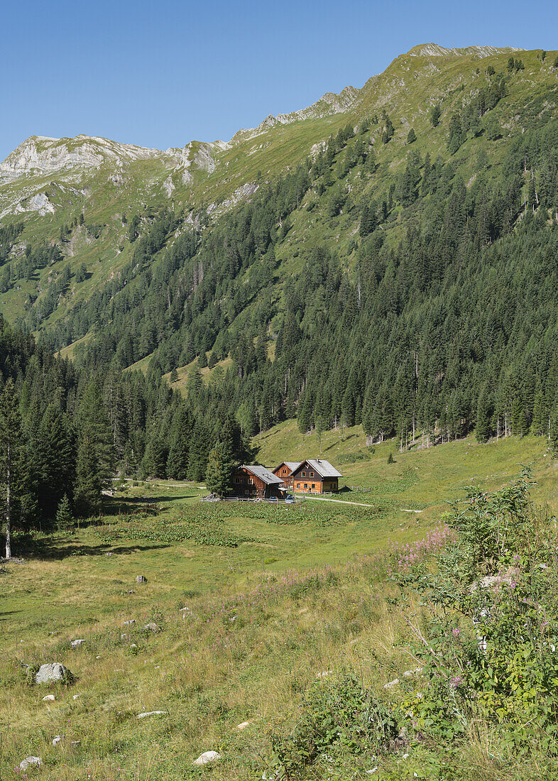  View of the Muritzenalmen on the way to the Karwassersee at 1,895 m above sea level in Lungau, Salzburg, Austria. 