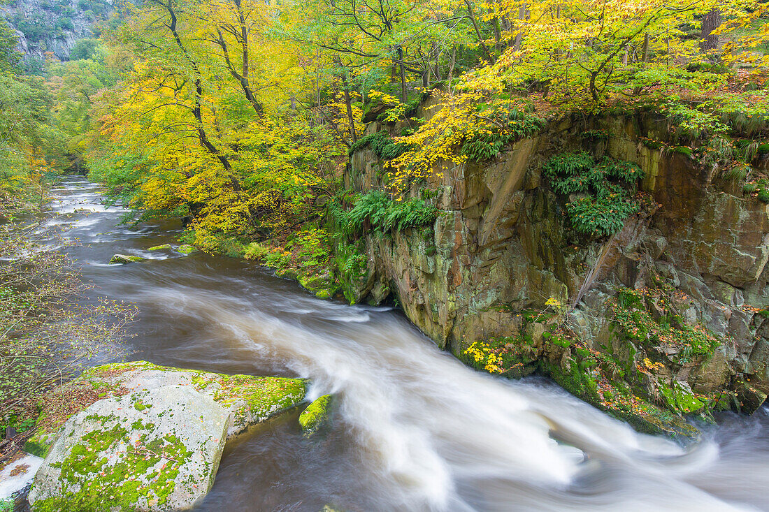  Bode, stream, Bodetal nature reserve, Saxony-Anhalt, Germany 