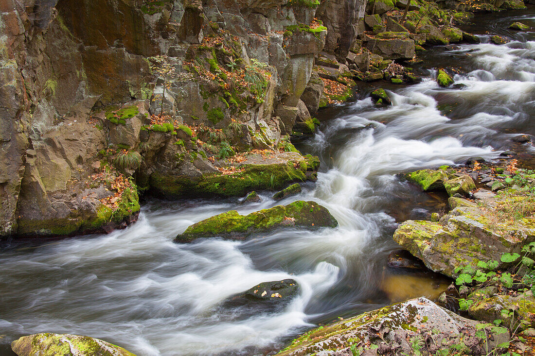  Bode, stream, Bodetal nature reserve, Saxony-Anhalt, Germany 