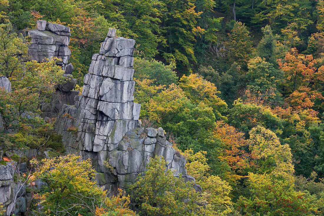  View into the Bode Valley, rock formations, Bode Valley nature reserve, Harz foothills, Saxony-Anhalt, Germany 