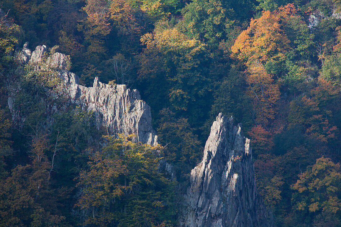 Blick ins Bodetal, Gesteinsformationen, Naturschutzgebiet Bodetal, Harzvorland, Sachsen-Anhalt, Deutschland