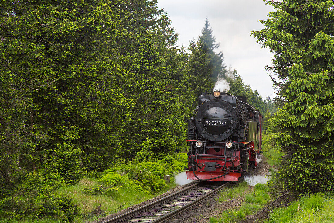  Brocken Railway, Harz Narrow Gauge Railway, Brocken, Harz National Park, Harz, Saxony-Anhalt, Germany 