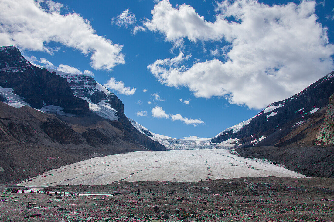  Athabasca Glacier, Jasper National Park, Alberta, Canada 