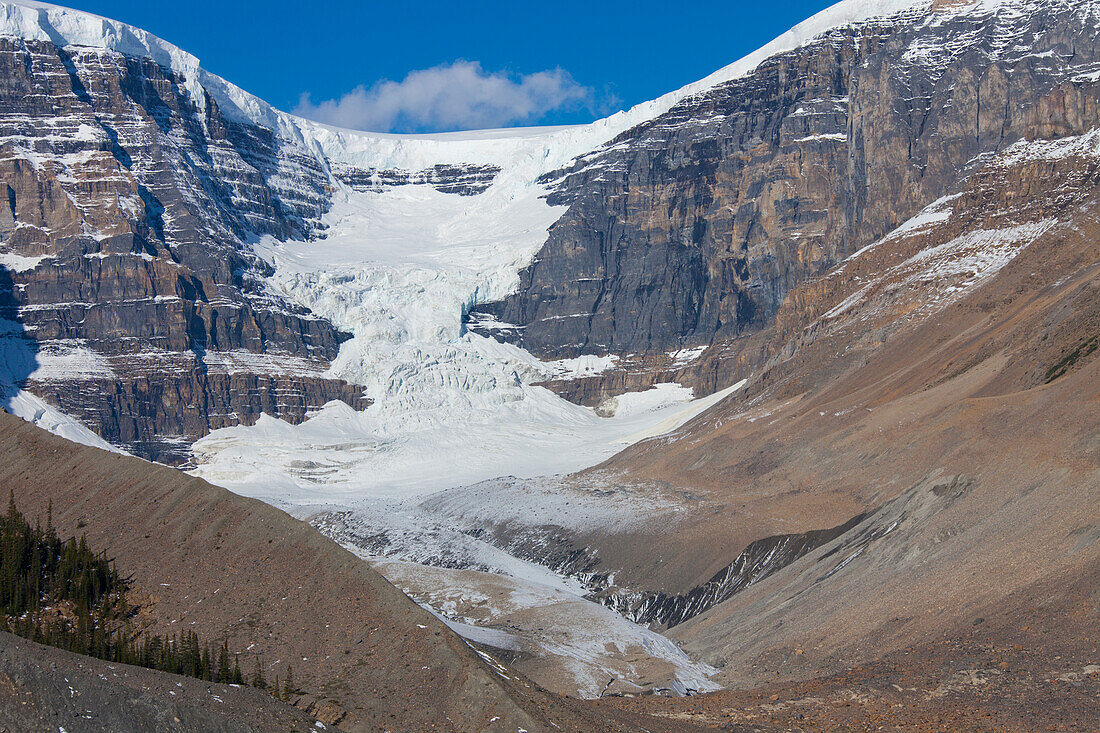  Dome Glacier, Jasper National Park, Alberta, Canada 