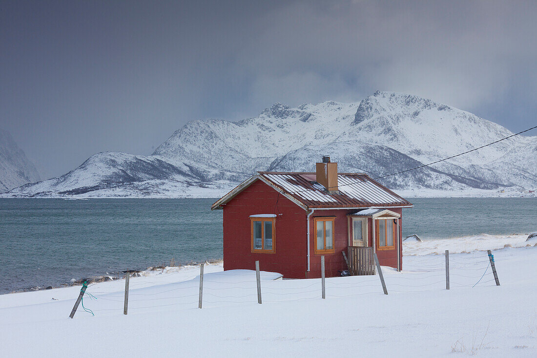 Hütte am verschneiten Fjord, Winter, Lofoten, Norwegen