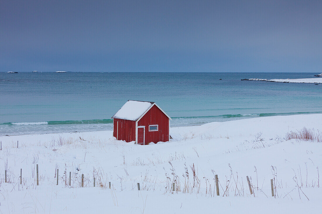  Lonely hut on the fjord in the snow, Lofoten, Norway 