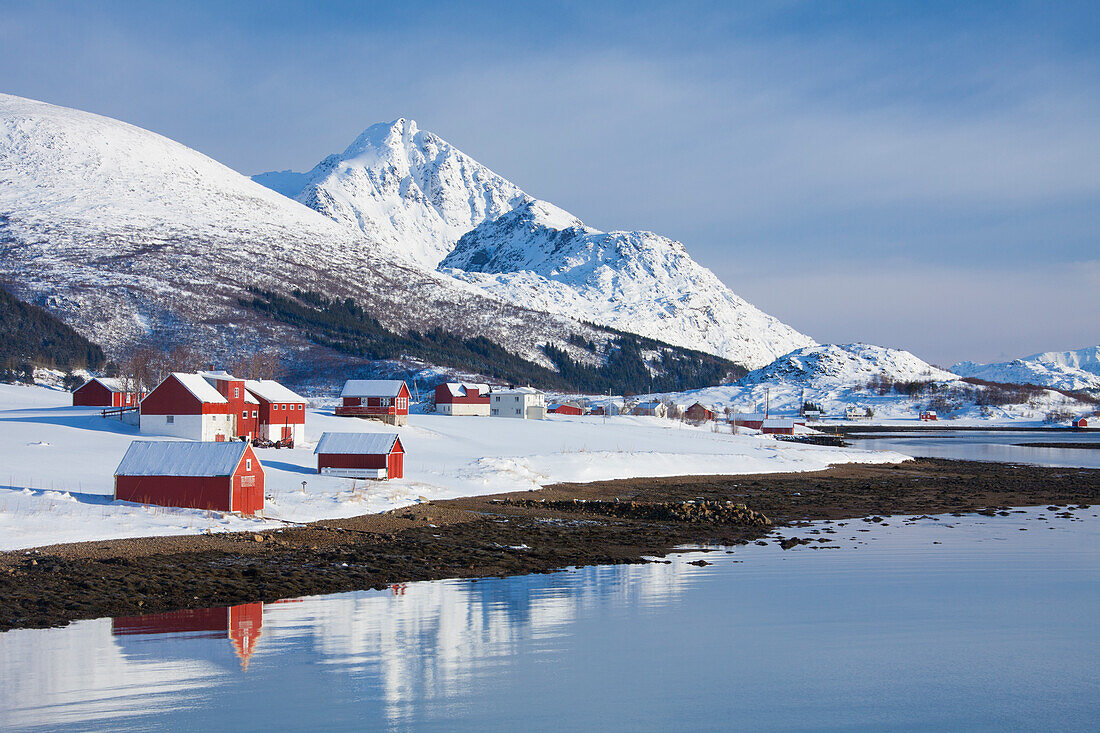  Huts by the fjord, winter, Offersoya, Vestvågøya, Lofoten, Norway 