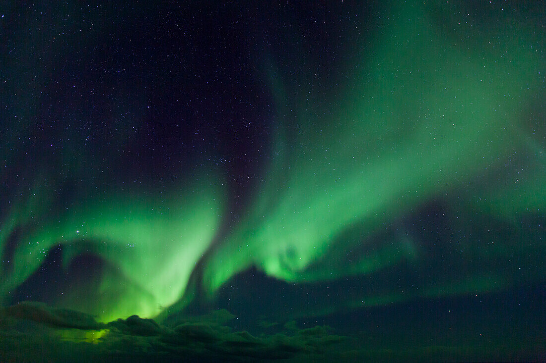  Northern lights, Aurora borealis, in the night sky, Lofoten, Norway 