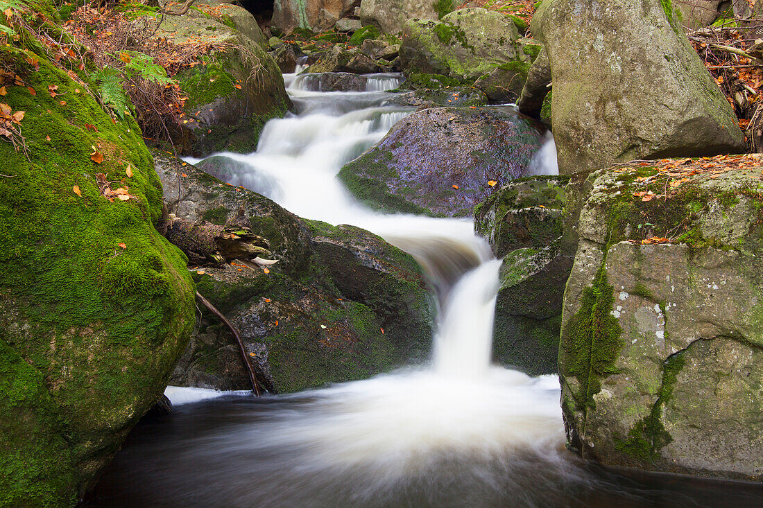  Ilse stream, Harz National Park, Saxony-Anhalt, Germany 