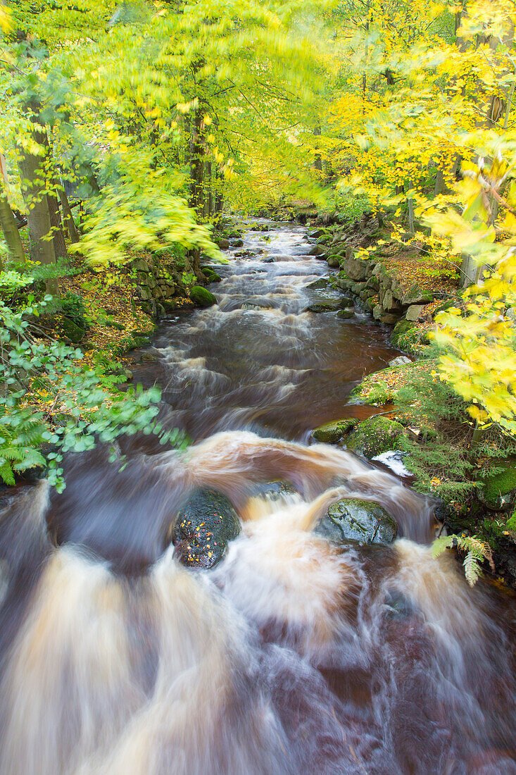  Ilse stream, Harz National Park, Saxony-Anhalt, Germany 