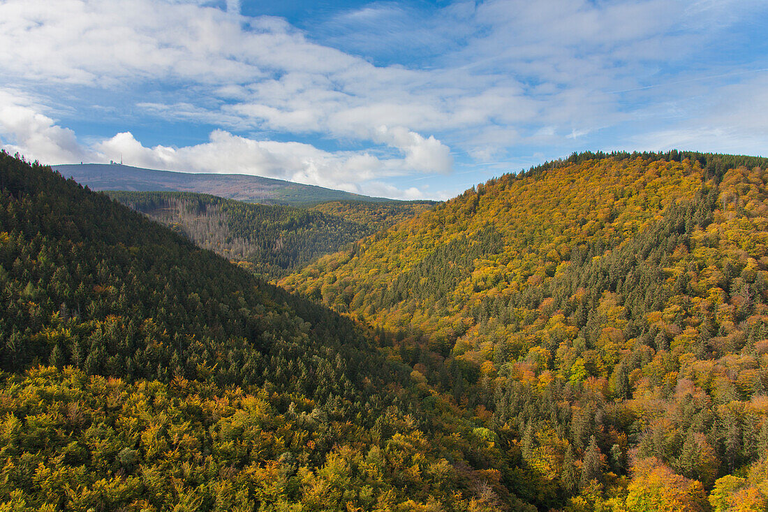 Ilsestein, Blick vom Ilsestein ins Ilse-Tal, Nationalpark Harz, Sachsen-Anhalt, Deutschland