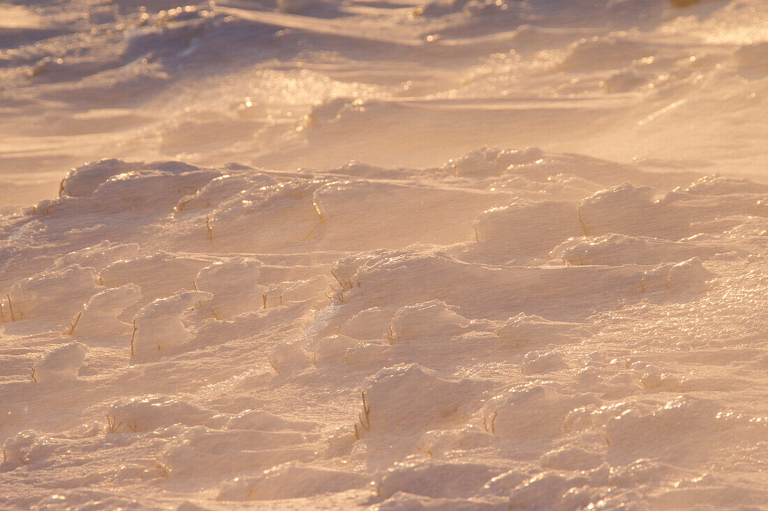  Snow drift, storm, Brocken, summit, Harz, Harz National Park, winter, Saxony-Anhalt, Germany 