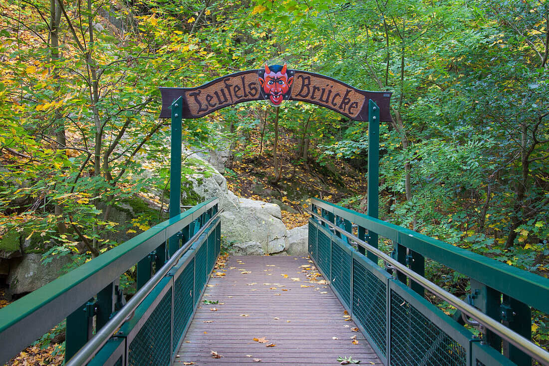  Teufelsbruecke, Bridge, Bodetal, Saxony-Anhalt, Germany 