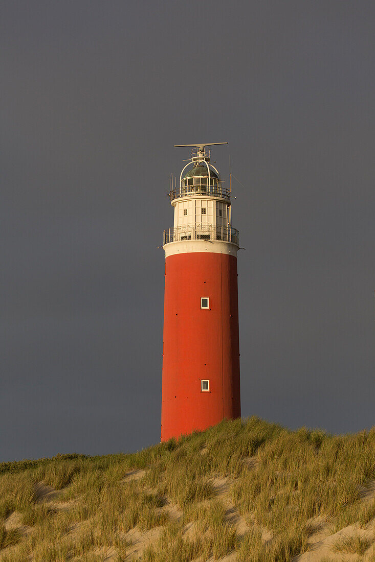  Eierland lighthouse, Texel island, North Holland, Netherlands 