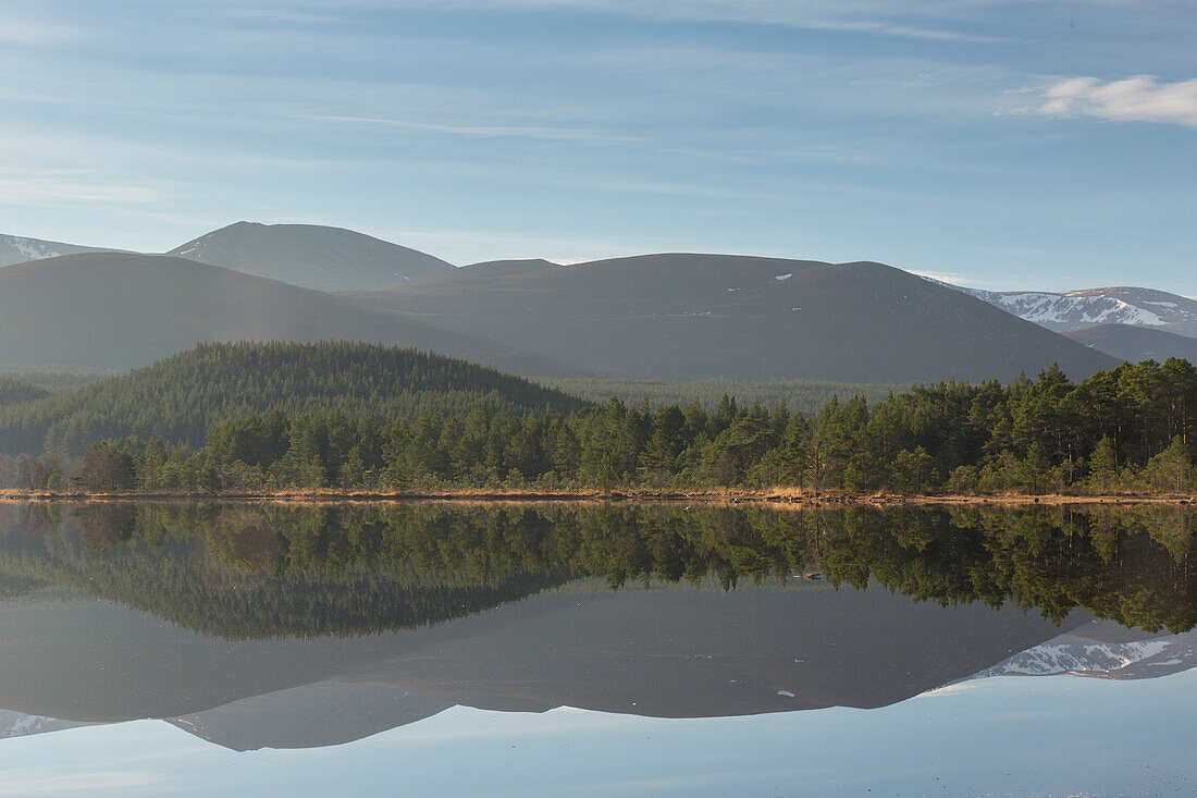  Evening mood at Loch Morlich, Cairngorms National Park, Scotland, Great Britain 