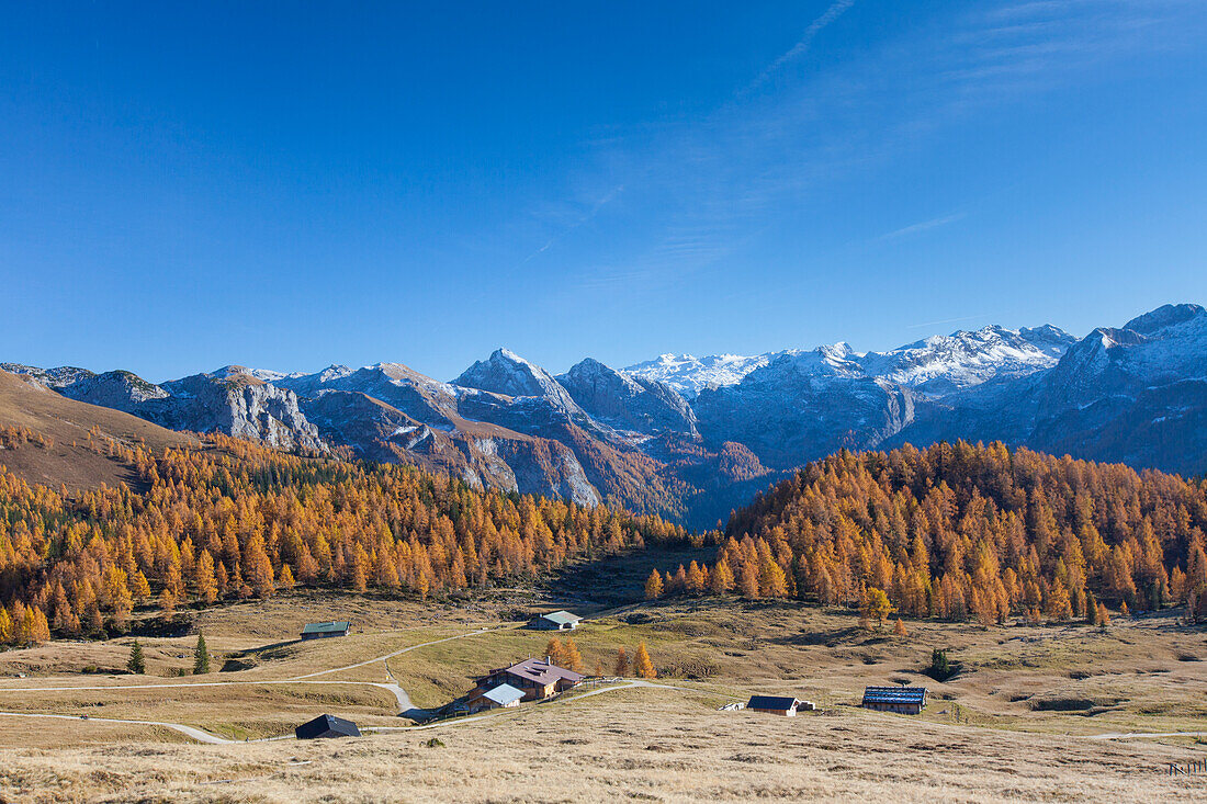  View to the Gotzenalm in autumn, Berchtesgaden National Park, Berchtesgadener Land, Upper Bavaria, Germany 