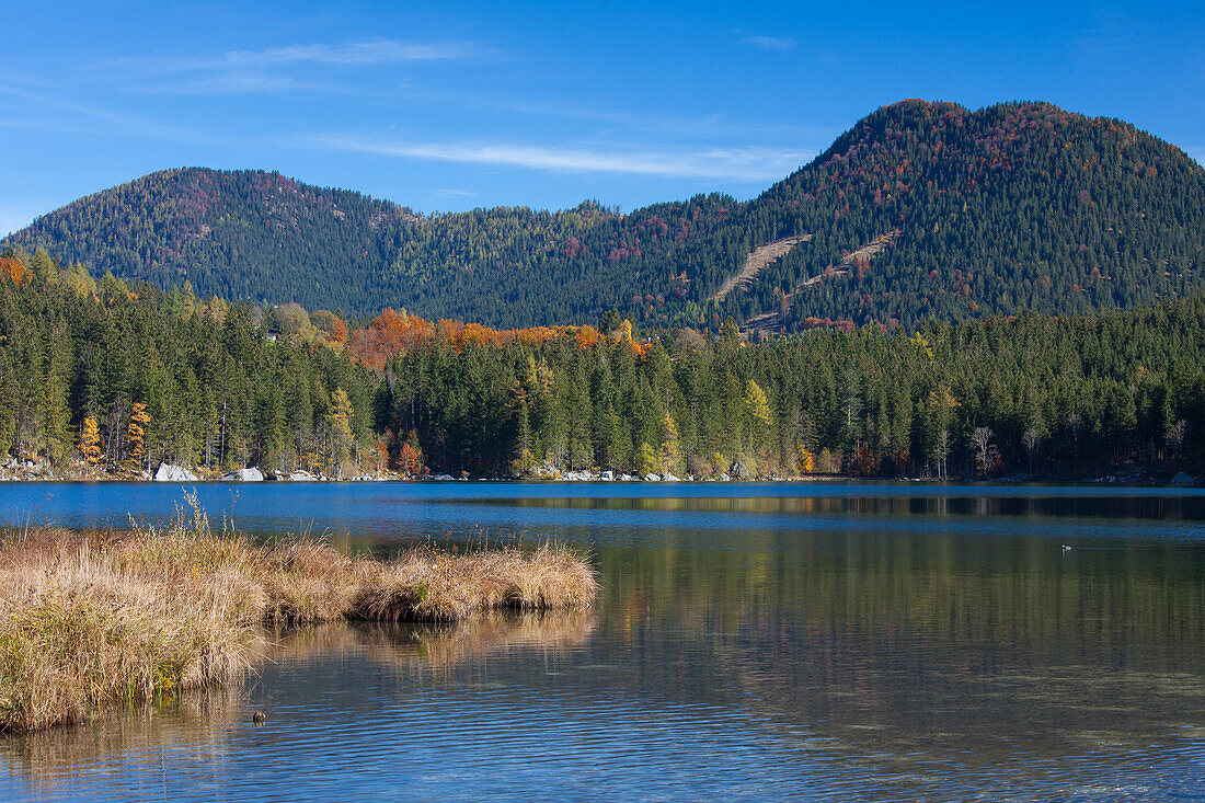 Der Hintersee in der Gemeinde Ramsau, Berchtesgadener Land, Oberbayern, Deutschland