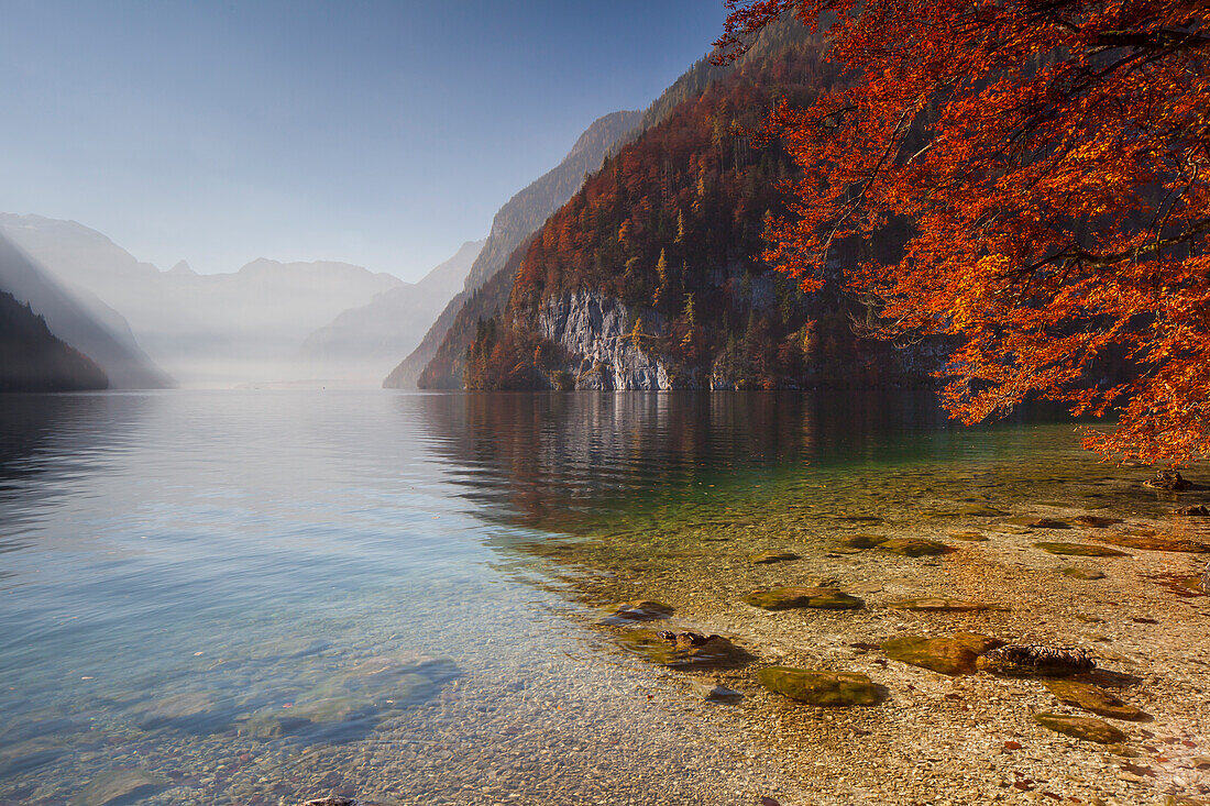  View from the Malerwinkel to the Koenigssee, autumn, Berchtesgaden National Park, Bavaria, Germany 