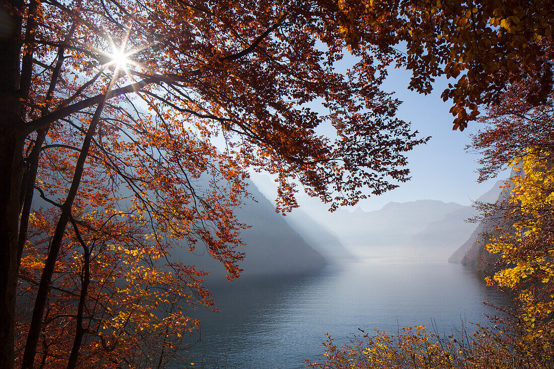  View from the Malerwinkel to the Koenigssee, autumn, Berchtesgaden National Park, Bavaria, Germany 