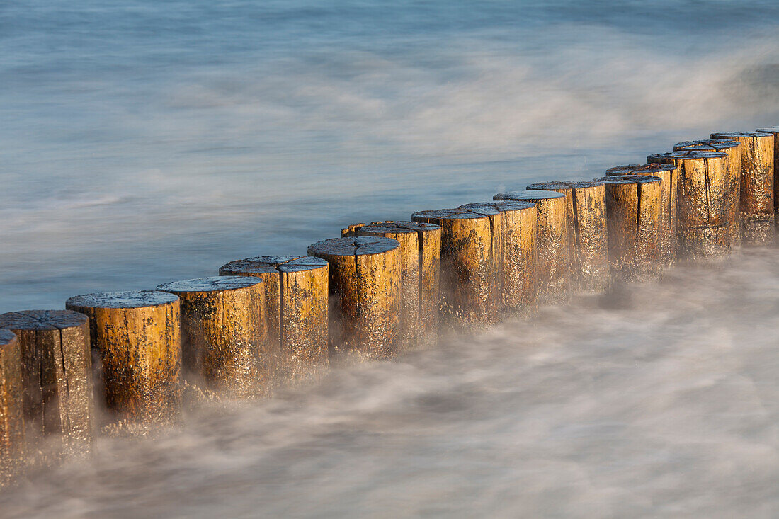  Groynes on the Baltic Sea beach, Zingst, Darss, Mecklenburg-Western Pomerania, Germany 