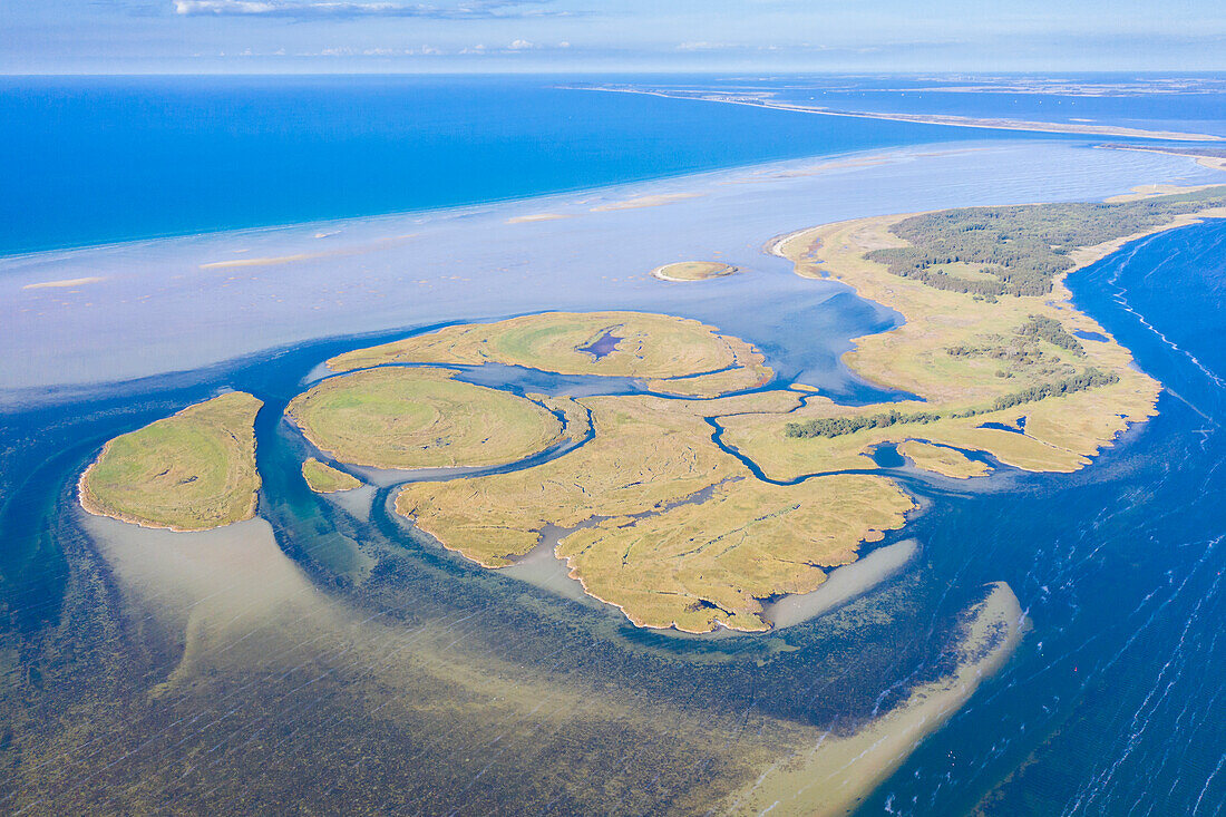  View of the Kleine Werder island group, Western Pomerania Lagoon Area National Park, Mecklenburg-Western Pomerania, Germany 